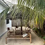 Palm & Earth Rooms