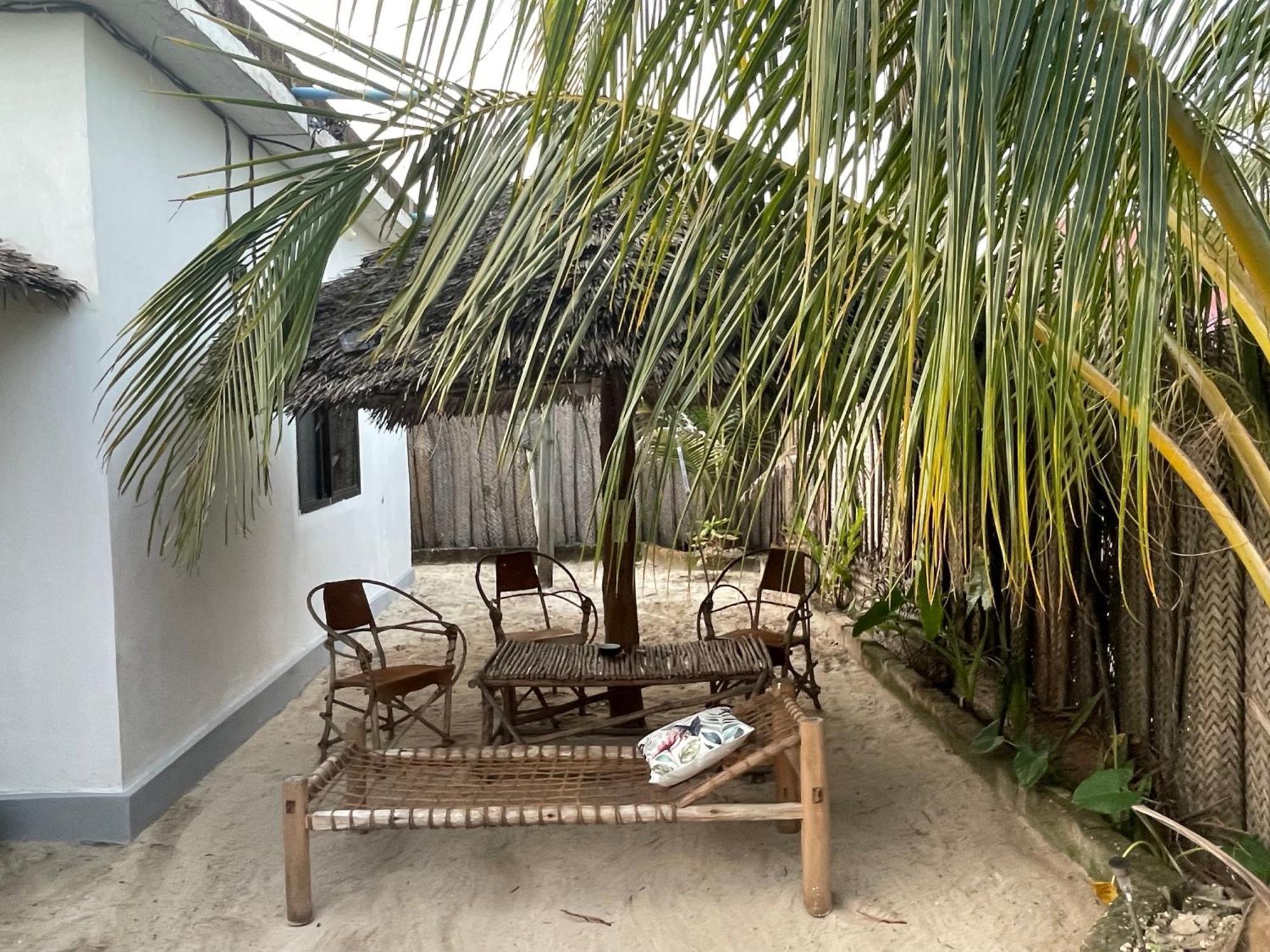 Palm & Earth